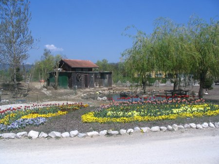 koteci